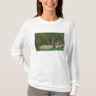 Picnic Uitzicht Saratoga-slagveld T-shirt
