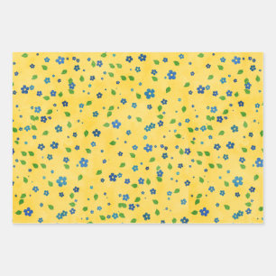Picnicking Wilde Bloem Appel Gingham Verjaardagsve Inpakpapier Vel