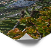 Pico dos Barcelos II Poster (Hoek)