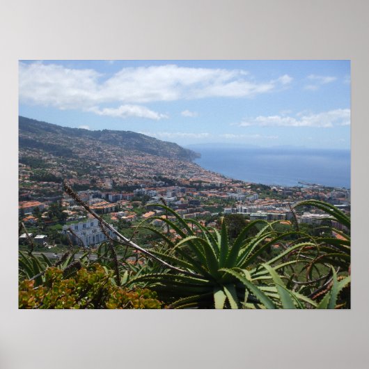 Pico dos Barcelos II Poster (Voorkant)