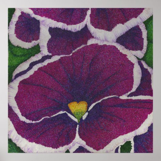 Picottee Pansy Poster (Voorkant)