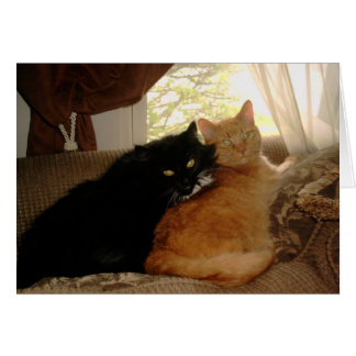 PICT0017 Kat en Tishabella