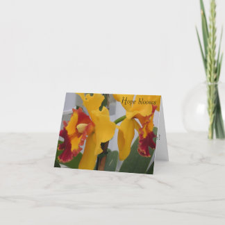 PICT0396, Hoop bloeit Bedankkaart