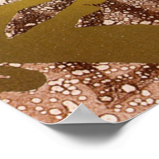 Pictish Birsay Stone Poster (Hoek)