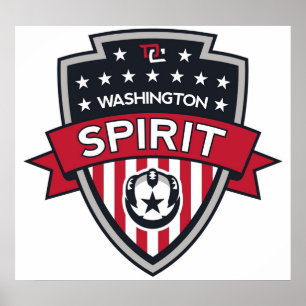 Pictogram Washington Spirit Poster
