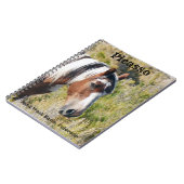 Pictogram zand wasbak notitieboek (Linkerzijde)