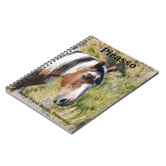 Pictogram zand wasbak notitieboek (Linkerzijde)