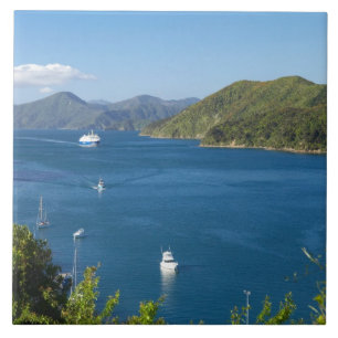 Picton Harbour, Marlborough Sound, South Tegeltje