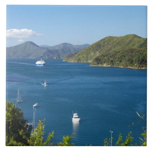 Picton Harbour, Marlborough Sounds, Zuid Tegeltje (Voorkant)