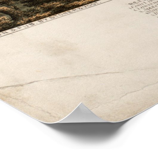 Pictorial Map of Appleton WI (1874) Poster (Hoek)