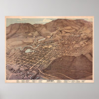  Pictorial Map of Aspen CO (1893)
