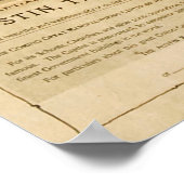  Pictorial Map of Austin Texas (1890) Poster (Hoek)