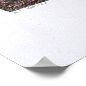  Pictorial Map of Buffalo NY (1872) Poster (Hoek)