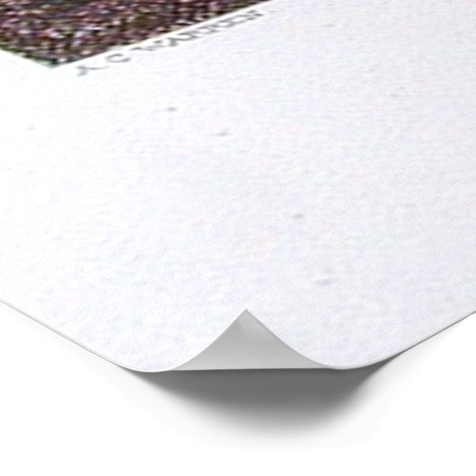  Pictorial Map of Buffalo NY (1872) Poster (Hoek)