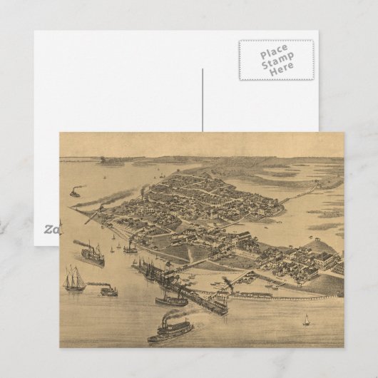 Pictorial Map of Cedar Key FL (1884) Briefkaart (Voorkant / Achterkant)