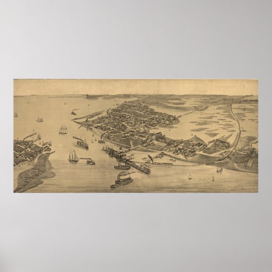 Pictorial Map of Cedar Key FL (1884) Poster (Voorkant)