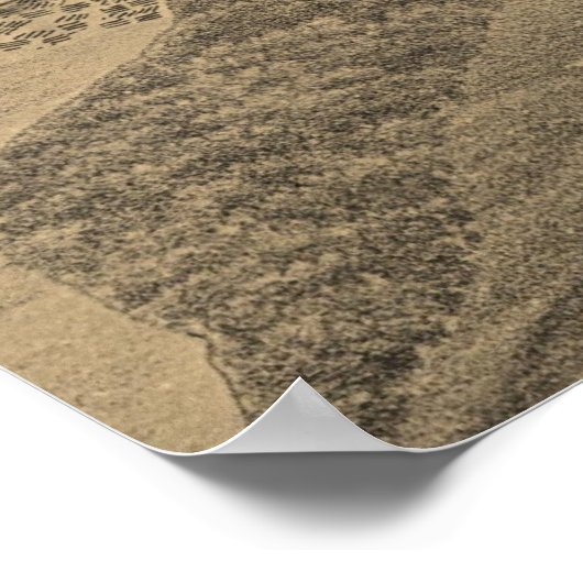  Pictorial Map of Cedar Key FL (1884) Poster (Hoek)