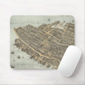 Pictorial Map of Charleston (1872) Muismat (Met muis)