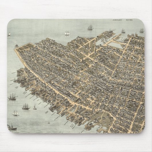 Pictorial Map of Charleston (1872) Muismat (Voorkant)