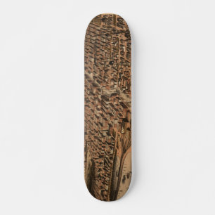 Pictorial Map of Chicago (1871)(2) Persoonlijk Skateboard