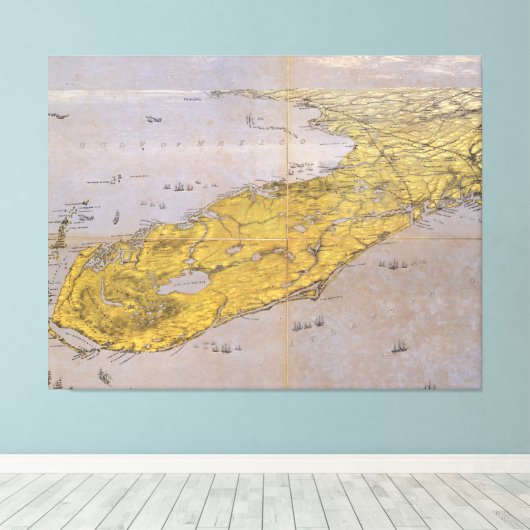  Pictorial Map of Florida (1861) Canvas Afdruk (Insitu (Houten vloer))