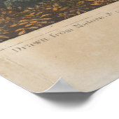  Pictorial Map of Gloucester MA (1836) Poster (Hoek)