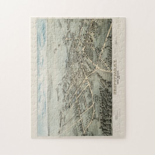  Pictorial Map of Hempstead NY (1876) Legpuzzel (Verticaal)