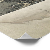  Pictorial Map of Houston Texas (1873) Poster (Hoek)