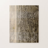  Pictorial Map of Kennebunk Maine (1895) Legpuzzel (Verticaal)