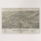  Pictorial Map of Monticello FL (1885) Legpuzzel (Horizontaal)
