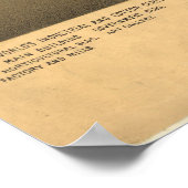 Pictorial Map of New Orleans (1885) Poster (Hoek)