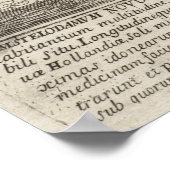  Pictorial Map of New York City (1672) Poster (Hoek)