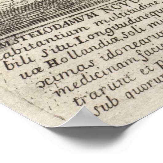  Pictorial Map of New York City (1672) Poster (Hoek)