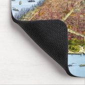  Pictorial Map of New York City (1879) Muismat (Hoek)