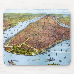 Pictorial Map of New York City (1879) Muismat