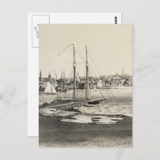  Pictorial Map of Newport RI (1860) Briefkaart (Voorkant / Achterkant)