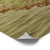  Pictorial Map of Newport RI (1878) Poster (Hoek)