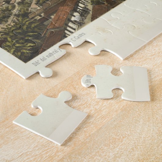  Pictorial Map of Orizaba Mexico (1869) Legpuzzel (Zijkant)