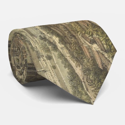  Pictorial Map of Orizaba Mexico (1869) Stropdas (Opgerold)