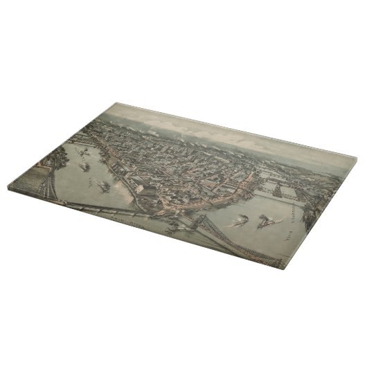  Pictorial Map of Pittsburgh (1902) Snijplank (Hoek)