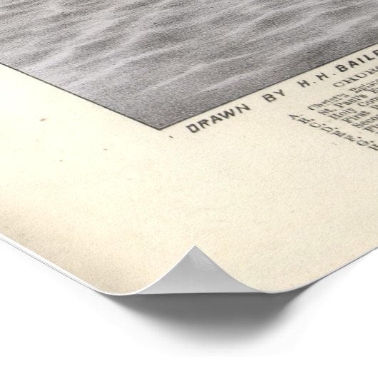  Pictorial Map of Poughkeepsie NY (1871) Poster (Hoek)