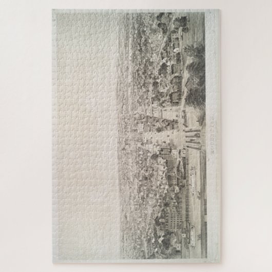  Pictorial Map of Rochester NY (1854) Legpuzzel (Verticaal)