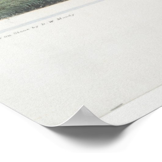  Pictorial Map of Springfield MA (1851) Poster (Hoek)