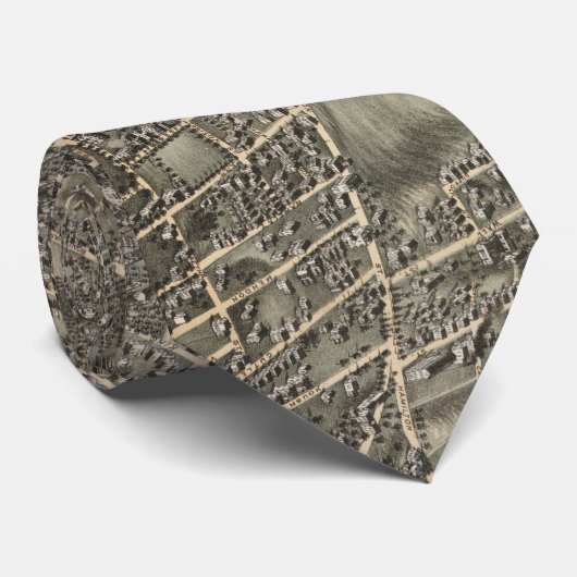  Pictorial Map of Worcester MA (1878) Stropdas (Opgerold)