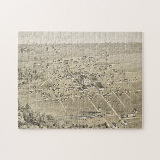  Pictorial Map van McKinney Texas (1876) Legpuzzel (Horizontaal)