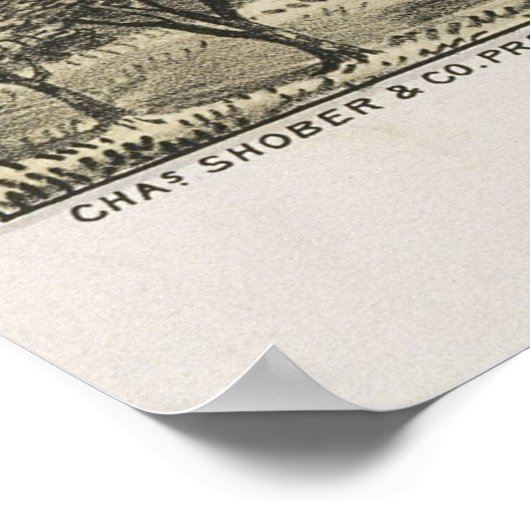  Pictorial Map van McKinney Texas (1876) Poster (Hoek)