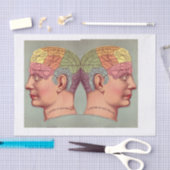 Picture of Perfect Health Vintage Anatomy Tissuepapier (Craft)