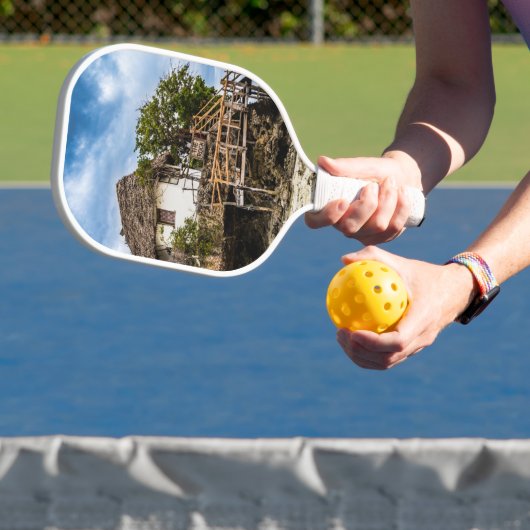 Pictureskast op een tropisch koraal pickleball paddle (Insitu)