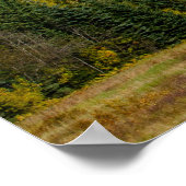 Picturesque Canadian Mountain, Mount Robson Poster (Hoek)