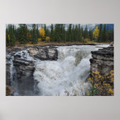Picturesque Canadian Waterfall, Athabasca-Herfsten Poster (Voorkant)